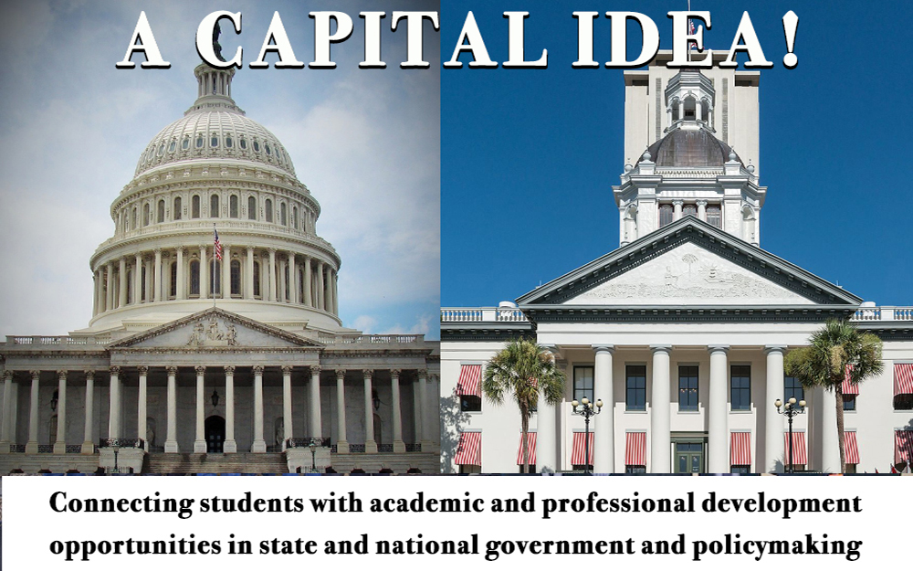 A Capital Idea! Connecting Students and Government